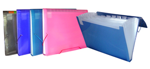 plastic file folders accordion folder expanding unprinted vary quantities ordered affordable shelf prices