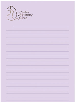 Customized Notepads 